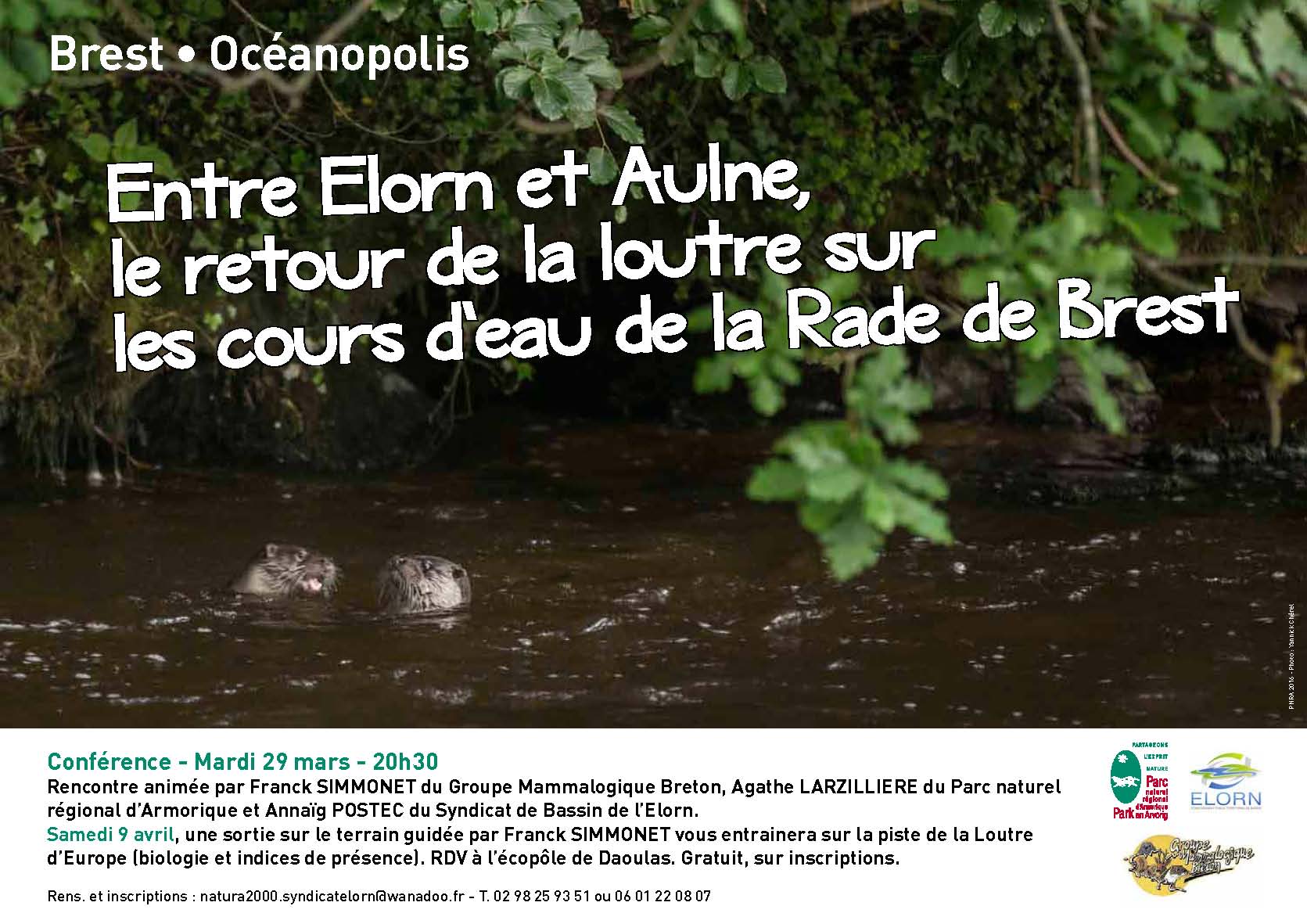 Conférence « Entre Elorn et Aulne, le retour de la Loutre sur les cours d’eau de la rade de Brest »