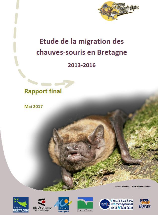 Résultats de 4 années d’étude de la migration des chauves-souris en Bretagne