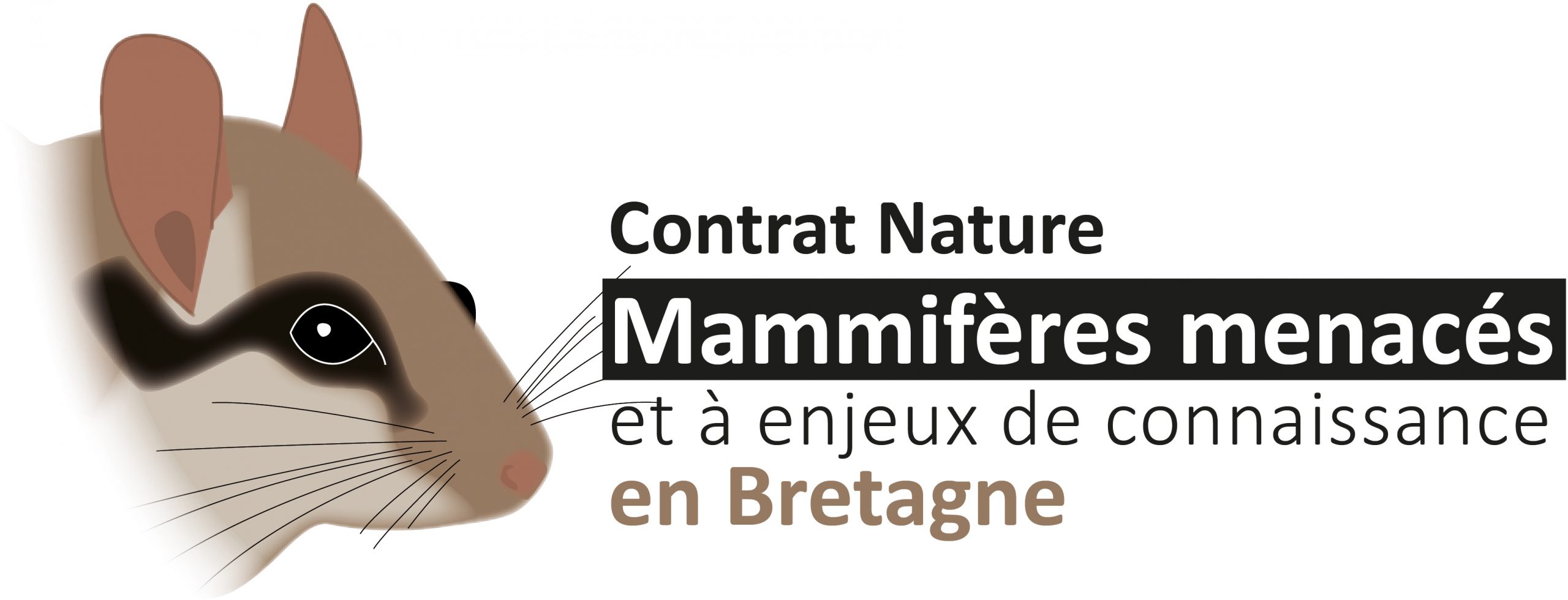 Contrat Nature « Mammifères menacés et à enjeux de connaissance en Bretagne »