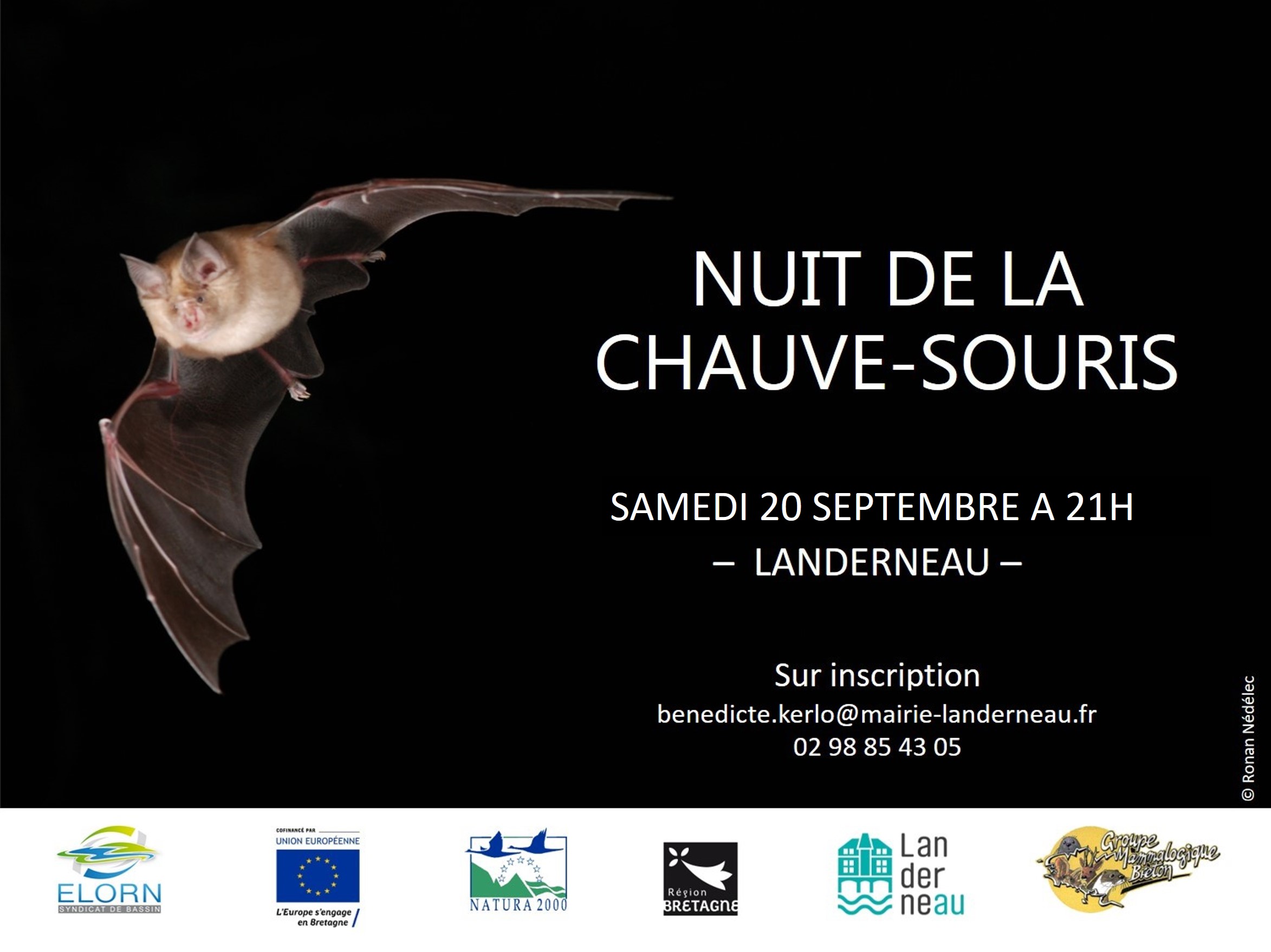 Nuit de la Chauve-souris