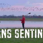 Ciné-discussion "Paysans de Nature, c'est quoi ?"