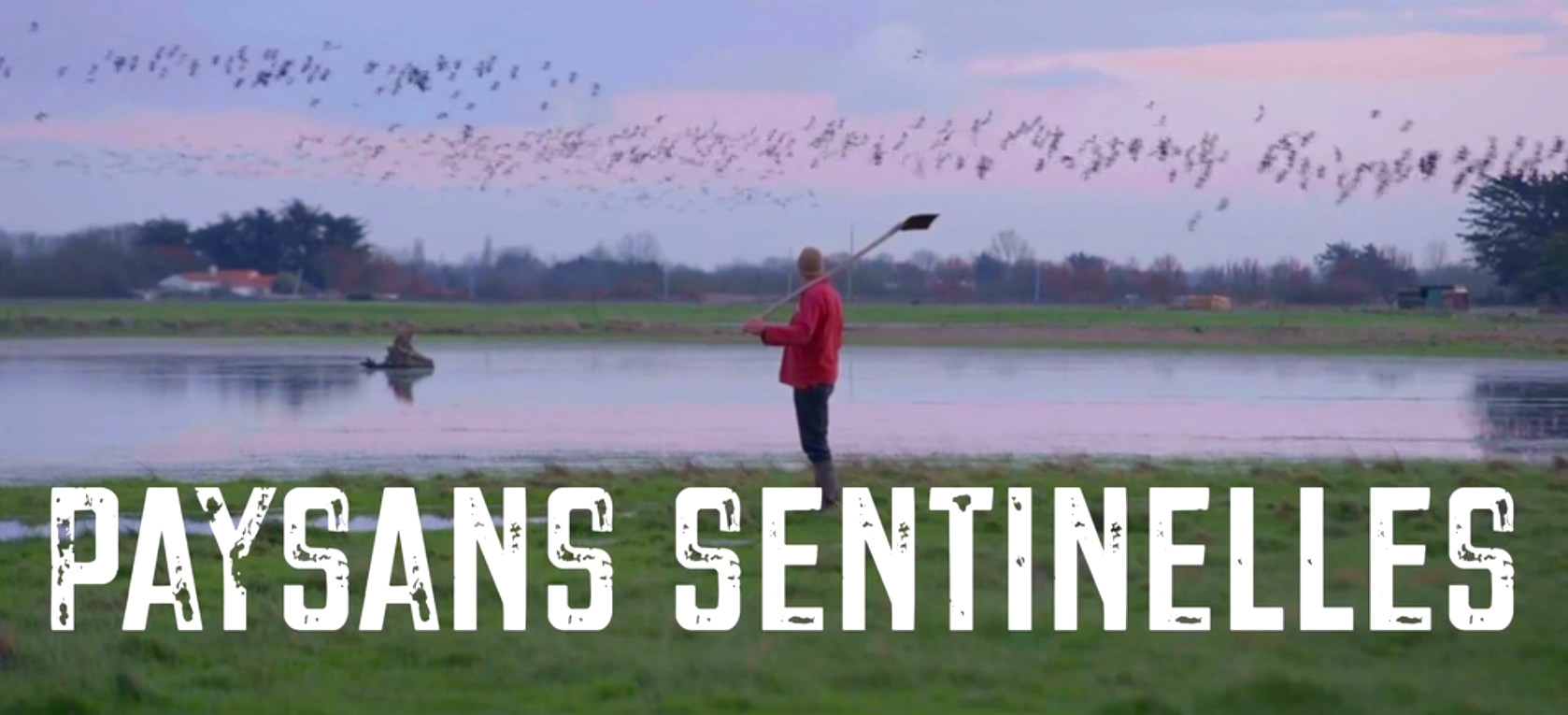 Ciné-discussion "Paysans de Nature, c'est quoi ?"