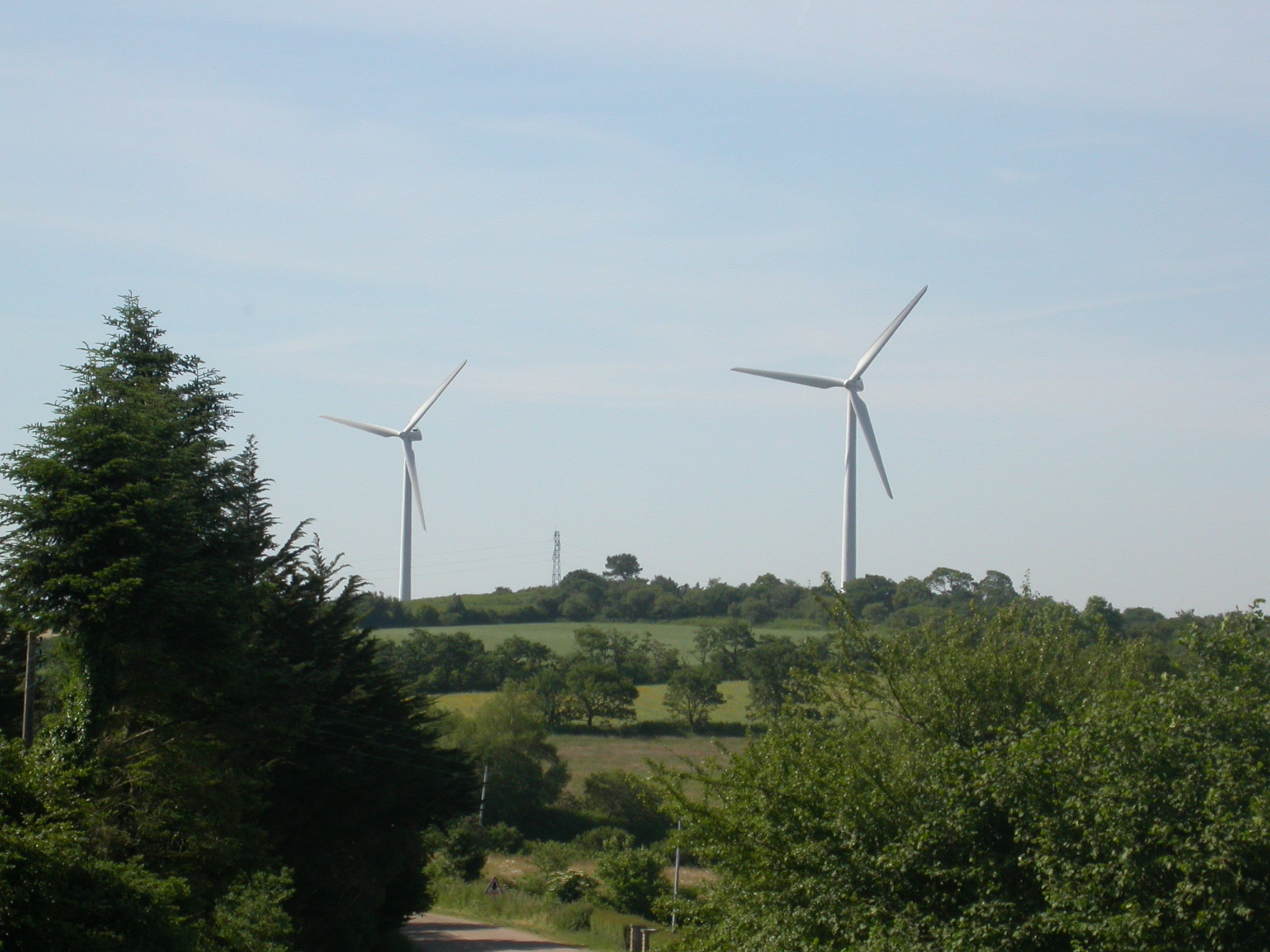 Énergies renouvelables et Mammifères : la feuille de route du GMB